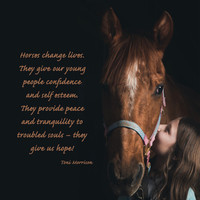ninaandlevi-horses change lives