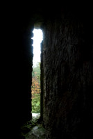 DSC_0437