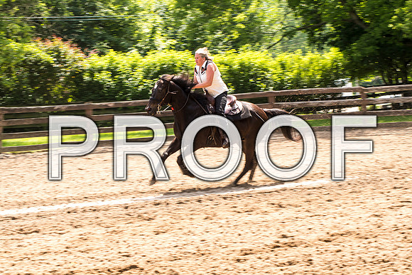 _AIW8418.jpg