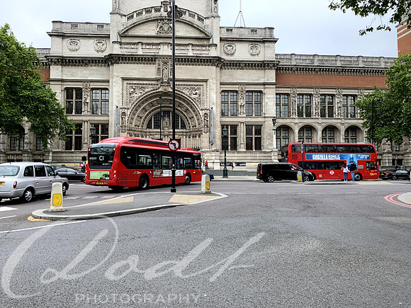 IMG_0183