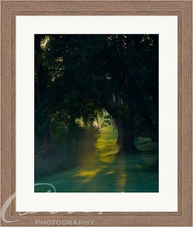 cathedral-frame